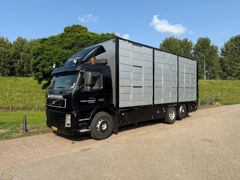 Volvo FM 300 Livestock Cuppers 3 laags 6x2 - Kravas automašīna dzīvnieku pārvadāšanai: foto 3 Volvo FM 300 Livestock Cuppers 3 laags 6x2 - Kravas automašīna dzīvnieku pārvadāšanai: foto 3