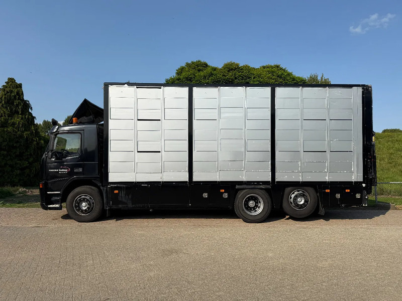 Volvo FM 300 Livestock Cuppers 3 laags 6x2 - Kravas automašīna dzīvnieku pārvadāšanai: foto 4 Volvo FM 300 Livestock Cuppers 3 laags 6x2 - Kravas automašīna dzīvnieku pārvadāšanai: foto 4