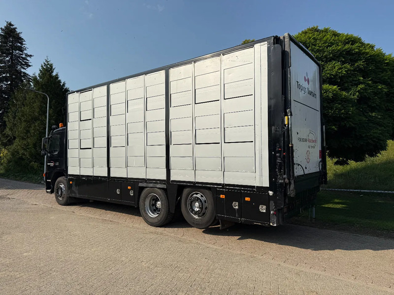 Volvo FM 300 Livestock Cuppers 3 laags 6x2 - Kravas automašīna dzīvnieku pārvadāšanai: foto 5 Volvo FM 300 Livestock Cuppers 3 laags 6x2 - Kravas automašīna dzīvnieku pārvadāšanai: foto 5