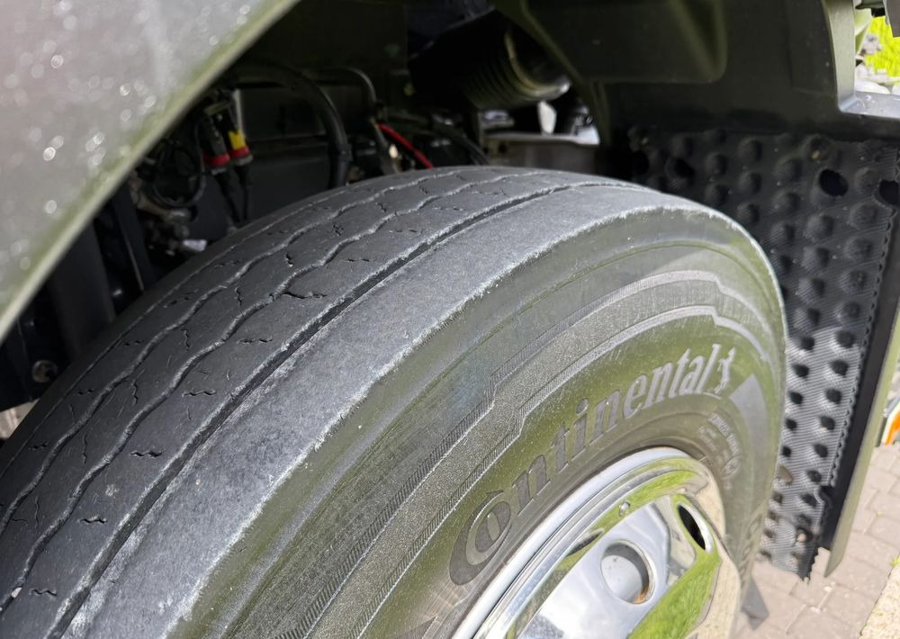 Vilcējs Renault T 460 RETARDER HYDRAULIKA: foto 14
