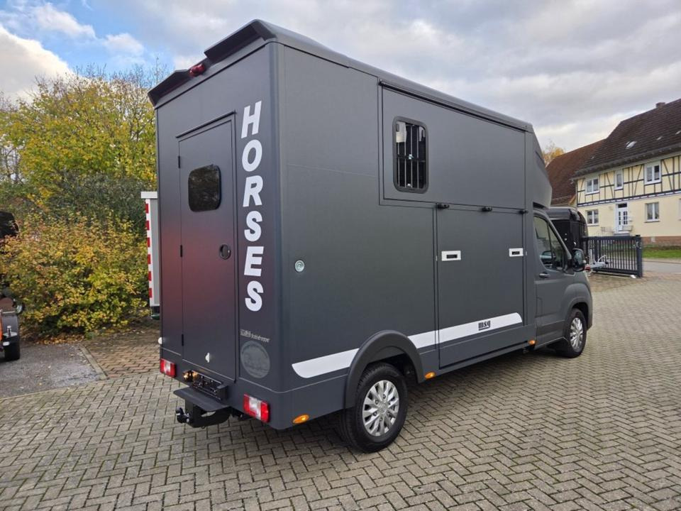 MSG Stablehopper Pferdetransporter Pferdeanhänger Böckmann - Zirgu kravas automašīna: foto 3 MSG Stablehopper Pferdetransporter Pferdeanhänger Böckmann - Zirgu kravas automašīna: foto 3