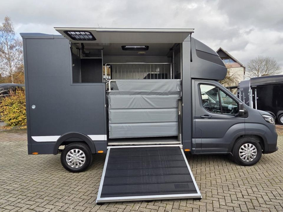 MSG Stablehopper Pferdetransporter Pferdeanhänger Böckmann - Zirgu kravas automašīna: foto 3 MSG Stablehopper Pferdetransporter Pferdeanhänger Böckmann - Zirgu kravas automašīna: foto 3