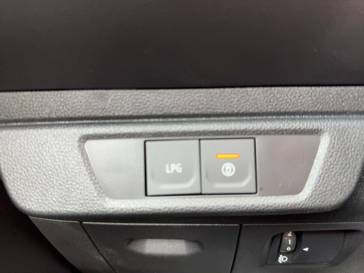 SUV Dacia Sandero Stepway Extreme ECO-G 100 LPG-GAS/NAVI: foto 15