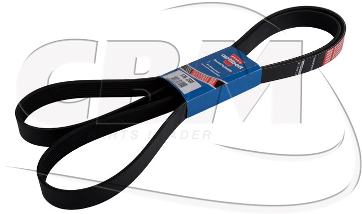 DAYCO BELT - KASSBOHRER DAF IRISBUS - IVECO - RVI (8311000859 | 1518746 | 1160281 | 7701003456) - Siksna - Autobuss: foto 1 DAYCO BELT - KASSBOHRER DAF IRISBUS - IVECO - RVI (8311000859 | 1518746 | 1160281 | 7701003456) - Siksna - Autobuss: foto 1