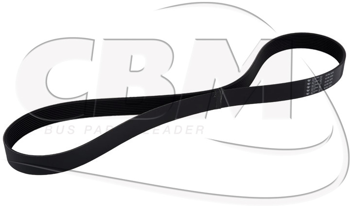 HUTCHINSON ALTERNATOR BELT - MERCEDES MAN (A0003531720 | 81351070056) - Siksna - Autobuss: foto 1 HUTCHINSON ALTERNATOR BELT - MERCEDES MAN (A0003531720 | 81351070056) - Siksna - Autobuss: foto 1