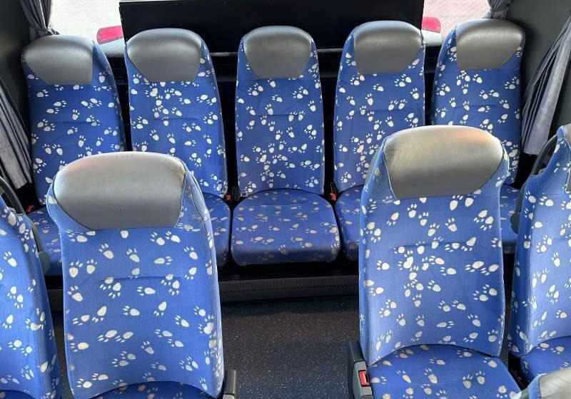 Piepilsētas autobuss Setra 2 x S415 GT-UL  Euro-5: foto 20
