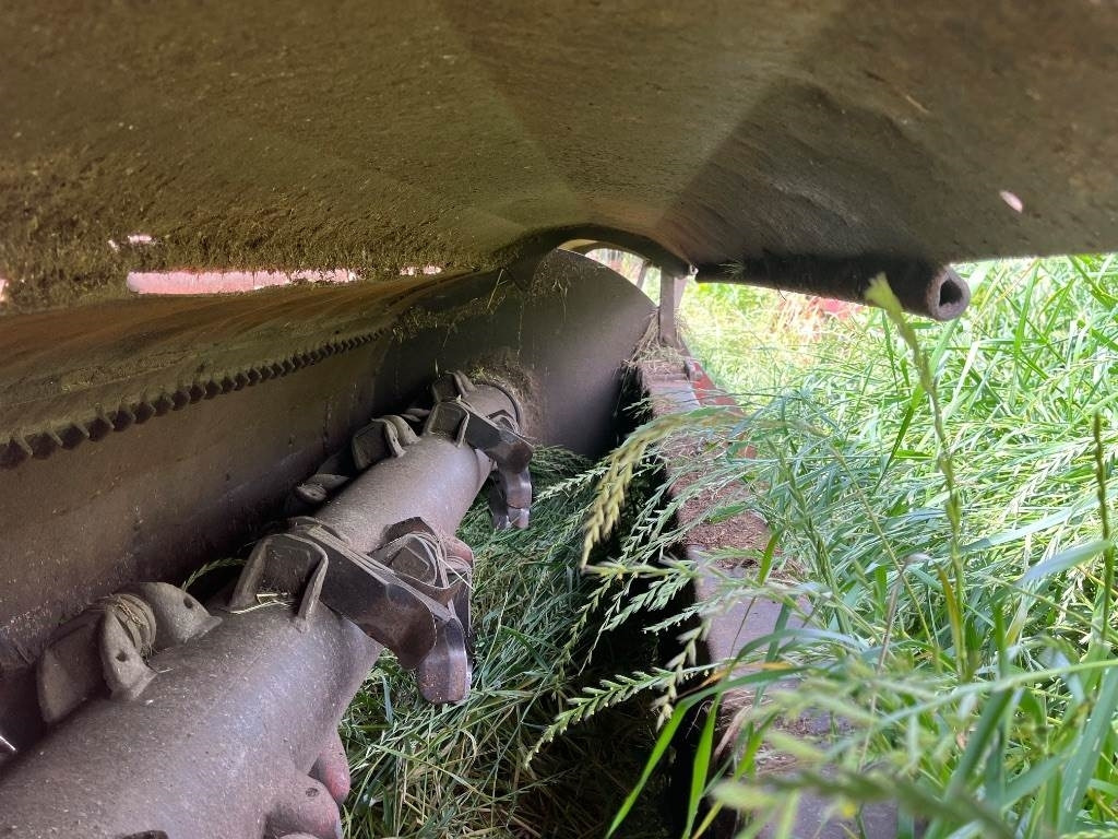 Maschio Gemella - Pļaujmašīna-smalcinātājs: foto 5 Maschio Gemella - Pļaujmašīna-smalcinātājs: foto 5