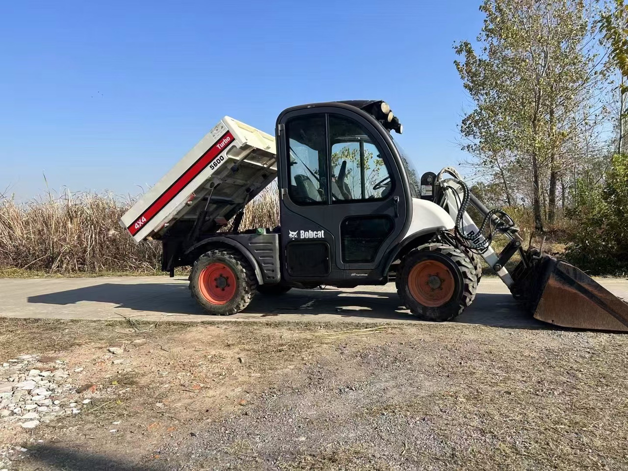 BOBCAT Bobcat 5600 - Kompaktiekrāvējs: foto 1 BOBCAT Bobcat 5600 - Kompaktiekrāvējs: foto 1
