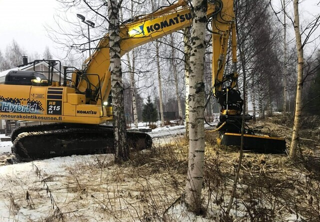 AX-Ketjumurskaimet - Meža mulčeris: foto 5 AX-Ketjumurskaimet - Meža mulčeris: foto 5