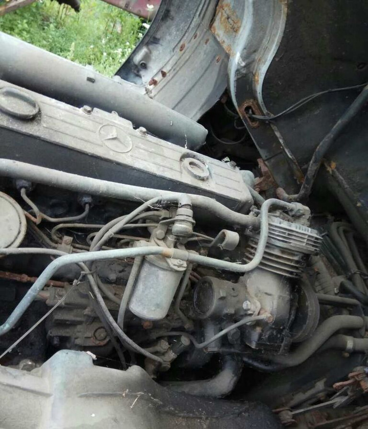Mercedes-Benz OM366 170 E2 Mercedes-Benz - Dzinējs - Kravas automašīna: foto 1 Mercedes-Benz OM366 170 E2 Mercedes-Benz - Dzinējs - Kravas automašīna: foto 1