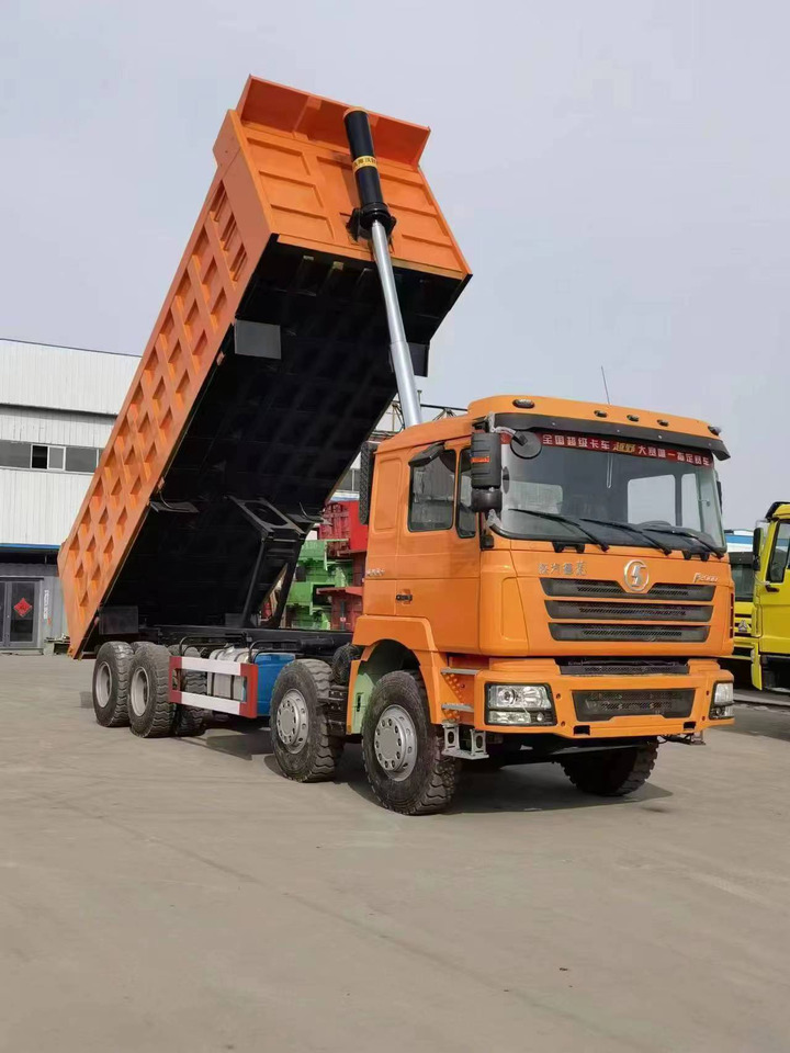 Kravas automašīna pašizgāzējs SHACMAN F3000 Dump Truck: foto 6