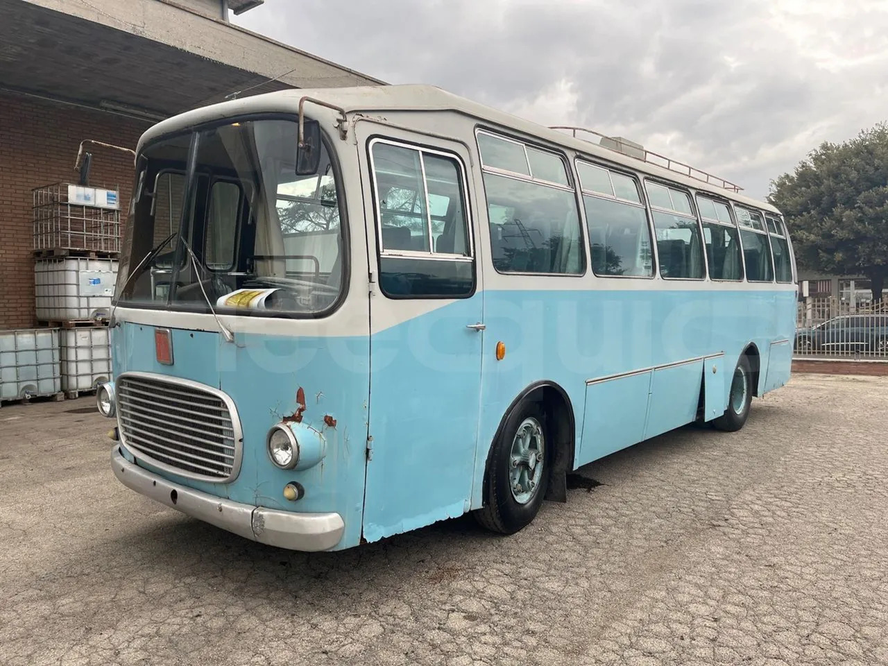 Fiat 309/1 - Starppilsētu autobuss: foto 4 Fiat 309/1 - Starppilsētu autobuss: foto 4