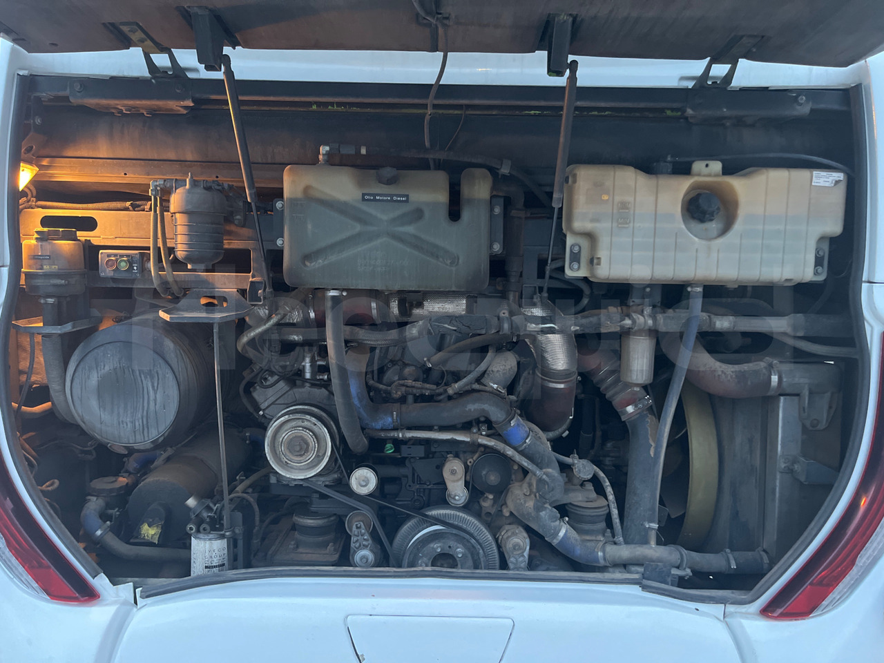 Starppilsētu autobuss Iveco Magelys: foto 20