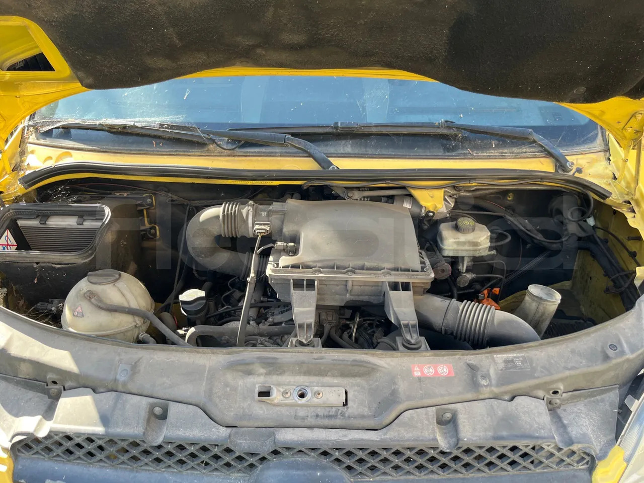 Skolas autobuss Mercedes-Benz Sprinter: foto 11