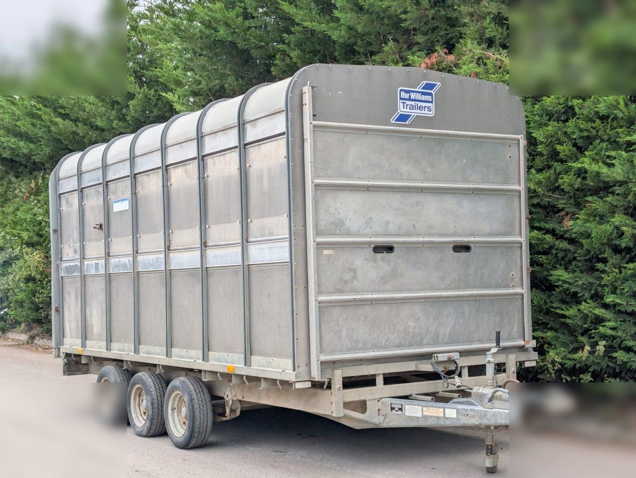 2004 IFOR WILLIAMS DP120G - Piekabe dzīvnieku pārvadāšanai: foto 2 2004 IFOR WILLIAMS DP120G - Piekabe dzīvnieku pārvadāšanai: foto 2