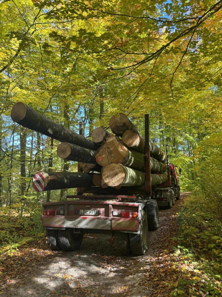 DAF CF510 - Kokvedējs, Kravas auto ar manipulatoru: foto 3 DAF CF510 - Kokvedējs, Kravas auto ar manipulatoru: foto 3