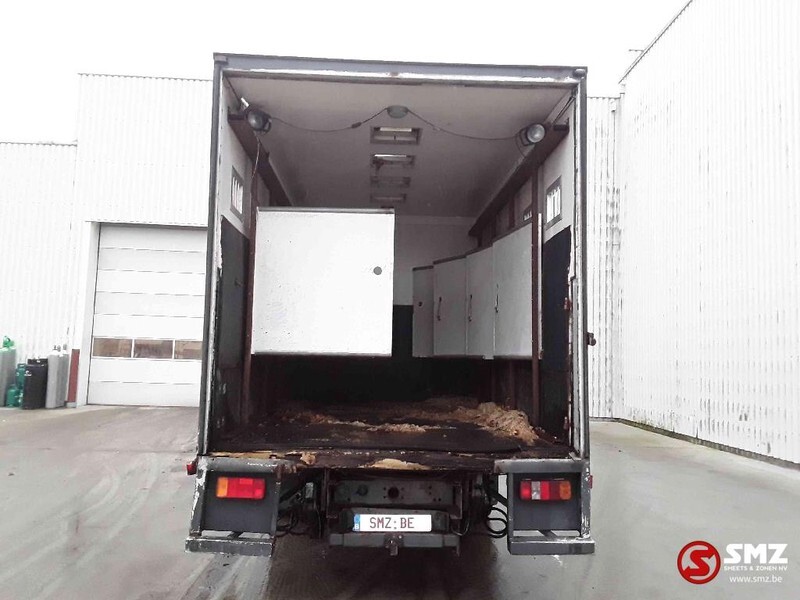Kravas automašīna dzīvnieku pārvadāšanai Iveco Magirus 80 16 horse truck: foto 9