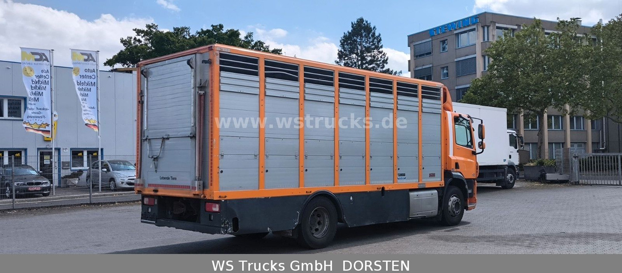 DAF CF 400 Menke Einstock Viehtransporter - Zirgu kravas automašīna: foto 5 DAF CF 400 Menke Einstock Viehtransporter - Zirgu kravas automašīna: foto 5