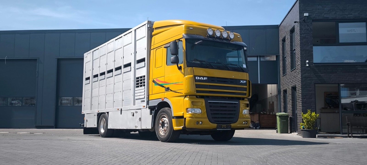 DAF XF 410 SC Menke Doppelstock - Zirgu kravas automašīna: foto 4 DAF XF 410 SC Menke Doppelstock - Zirgu kravas automašīna: foto 4