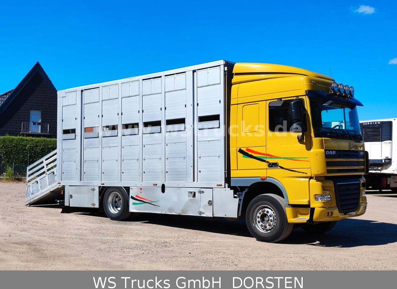 DAF XF 410 SC Menke Doppelstock - Zirgu kravas automašīna: foto 5 DAF XF 410 SC Menke Doppelstock - Zirgu kravas automašīna: foto 5