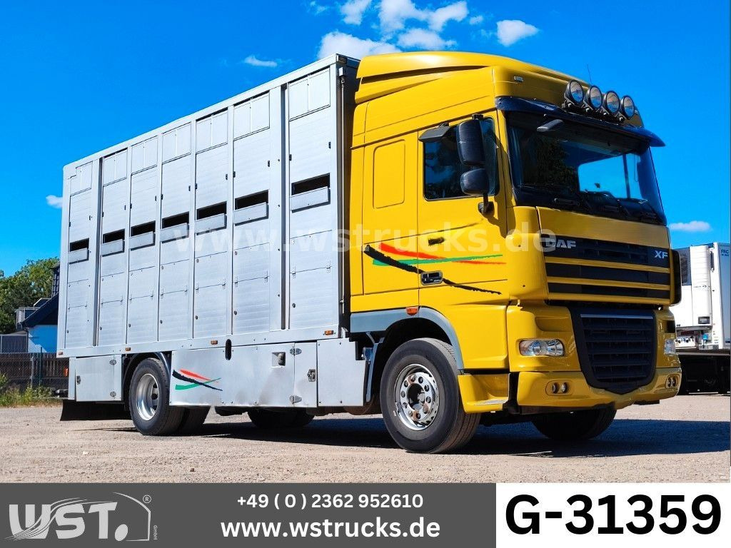 DAF XF 410 SC Menke Doppelstock - Zirgu kravas automašīna: foto 1 DAF XF 410 SC Menke Doppelstock - Zirgu kravas automašīna: foto 1