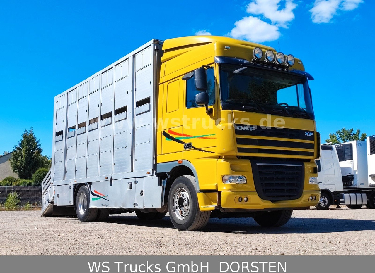 DAF XF 410 SC Menke Doppelstock - Zirgu kravas automašīna: foto 3 DAF XF 410 SC Menke Doppelstock - Zirgu kravas automašīna: foto 3