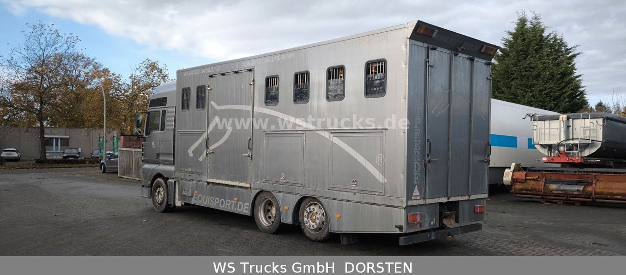 MAN TGA 26.480 FG 6x2 Pferdetransporter Luft/Luft - Zirgu kravas automašīna: foto 5 MAN TGA 26.480 FG 6x2 Pferdetransporter Luft/Luft - Zirgu kravas automašīna: foto 5