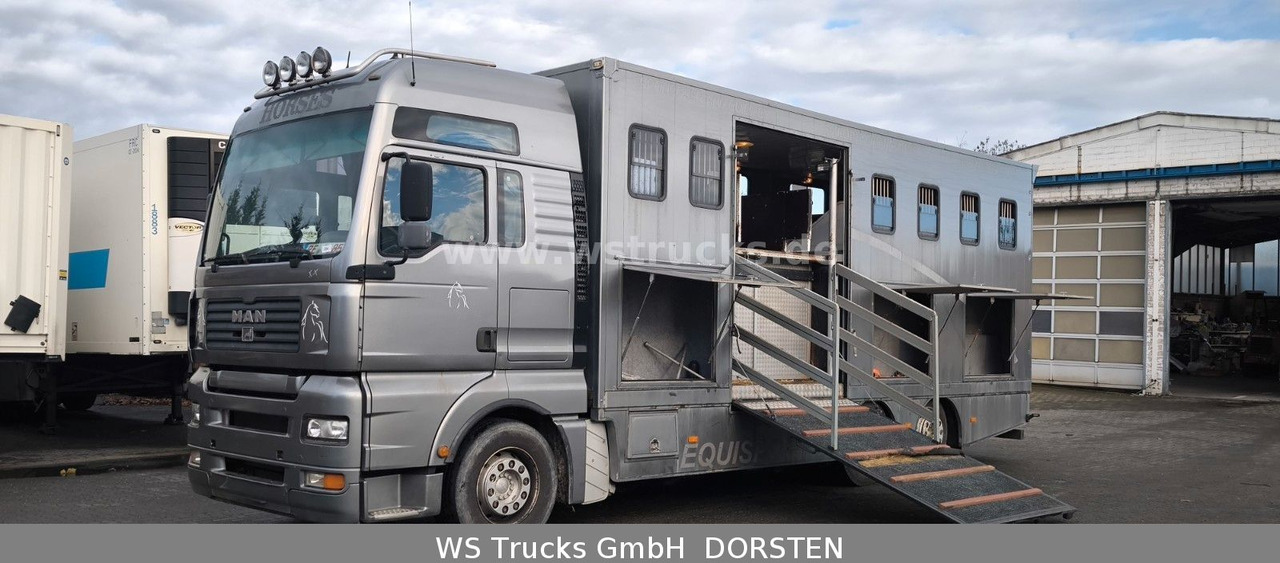 MAN TGA 26.480 FG 6x2 Pferdetransporter Luft/Luft - Zirgu kravas automašīna: foto 1 MAN TGA 26.480 FG 6x2 Pferdetransporter Luft/Luft - Zirgu kravas automašīna: foto 1