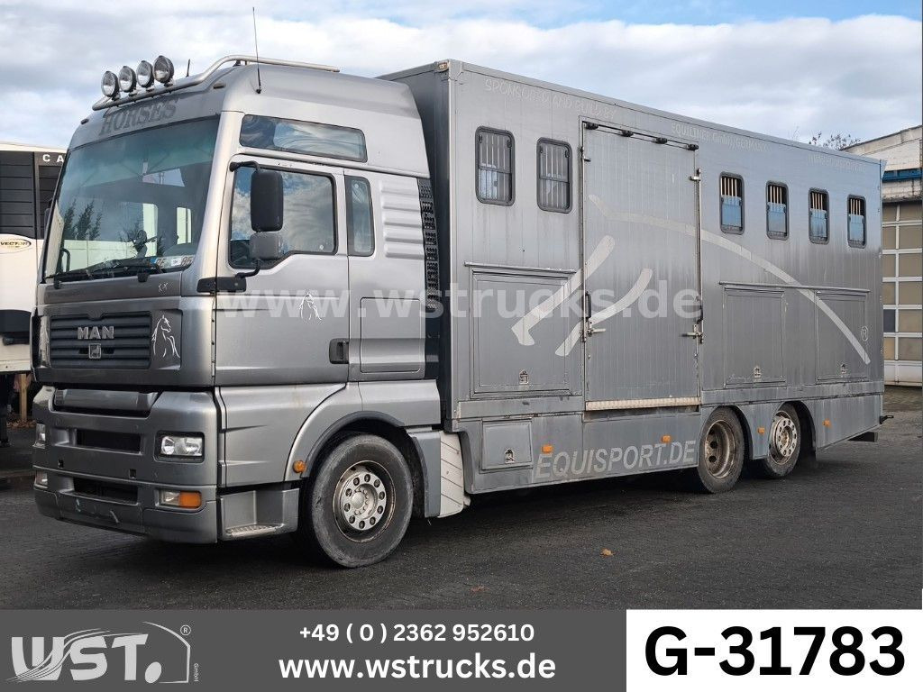 MAN TGA 26.480 FG 6x2 Pferdetransporter Luft/Luft - Zirgu kravas automašīna: foto 1 MAN TGA 26.480 FG 6x2 Pferdetransporter Luft/Luft - Zirgu kravas automašīna: foto 1