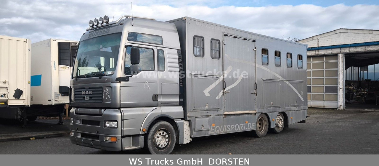 MAN TGA 26.480 FG 6x2 Pferdetransporter Luft/Luft - Zirgu kravas automašīna: foto 2 MAN TGA 26.480 FG 6x2 Pferdetransporter Luft/Luft - Zirgu kravas automašīna: foto 2