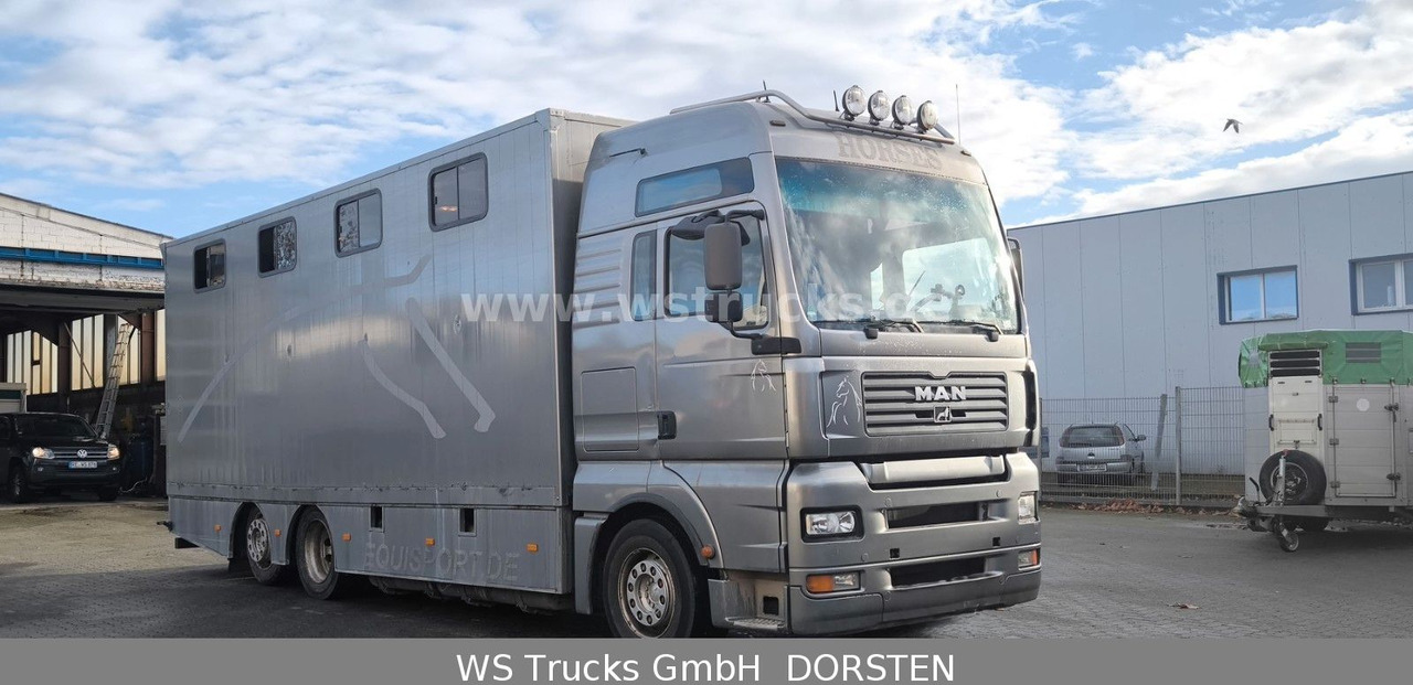 MAN TGA 26.480 FG 6x2 Pferdetransporter Luft/Luft - Zirgu kravas automašīna: foto 3 MAN TGA 26.480 FG 6x2 Pferdetransporter Luft/Luft - Zirgu kravas automašīna: foto 3