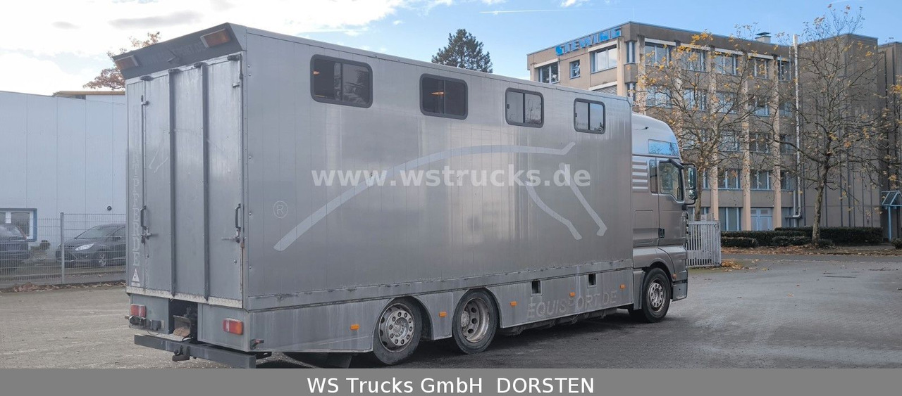MAN TGA 26.480 FG 6x2 Pferdetransporter Luft/Luft - Zirgu kravas automašīna: foto 4 MAN TGA 26.480 FG 6x2 Pferdetransporter Luft/Luft - Zirgu kravas automašīna: foto 4