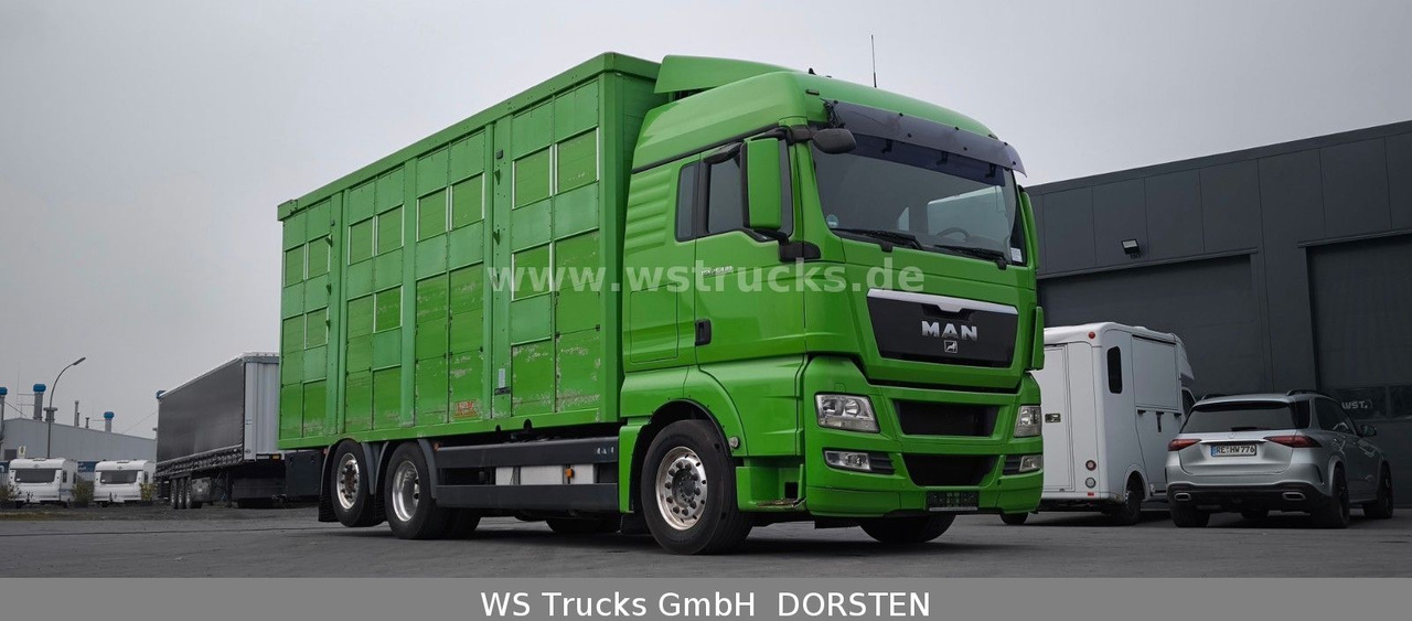 MAN TGX 26.480 XL KABA 3 Stock Viehtransporter - Zirgu kravas automašīna: foto 4 MAN TGX 26.480 XL KABA 3 Stock Viehtransporter - Zirgu kravas automašīna: foto 4