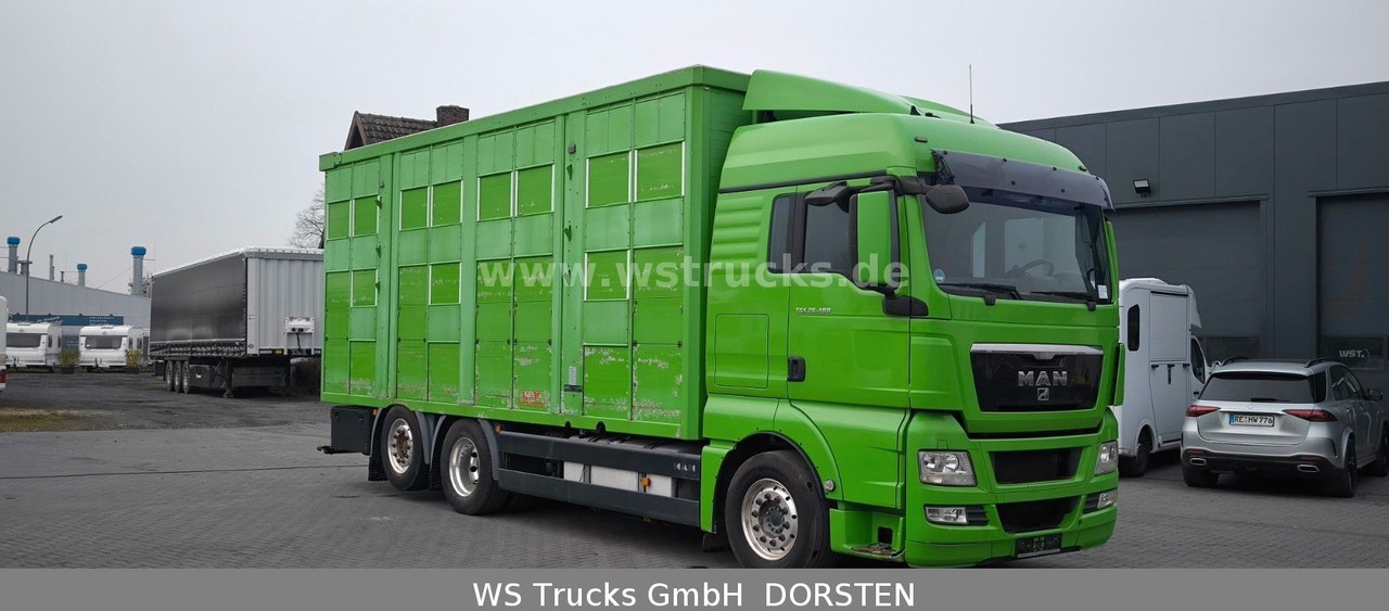 MAN TGX 26.480 XL KABA 3 Stock Viehtransporter - Zirgu kravas automašīna: foto 3 MAN TGX 26.480 XL KABA 3 Stock Viehtransporter - Zirgu kravas automašīna: foto 3