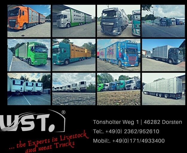 Puspiekabe slēgtā virsbūve Schmitz Cargobull SKO 24 Kühlauflieger Vector 1550 Strom/Diesel: foto 22