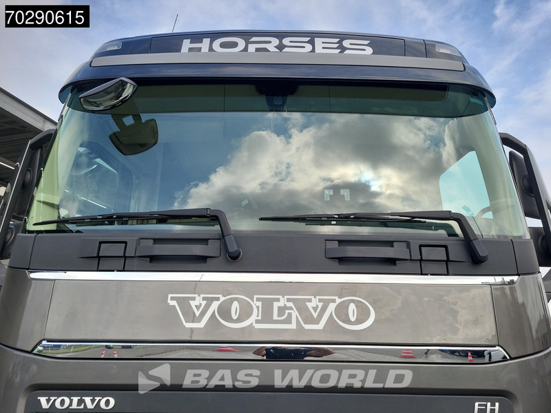 Zirgu kravas automašīna Volvo FH 420 FH 4X2 NL-Truck Xenon Navi ACC Euro 6: foto 13