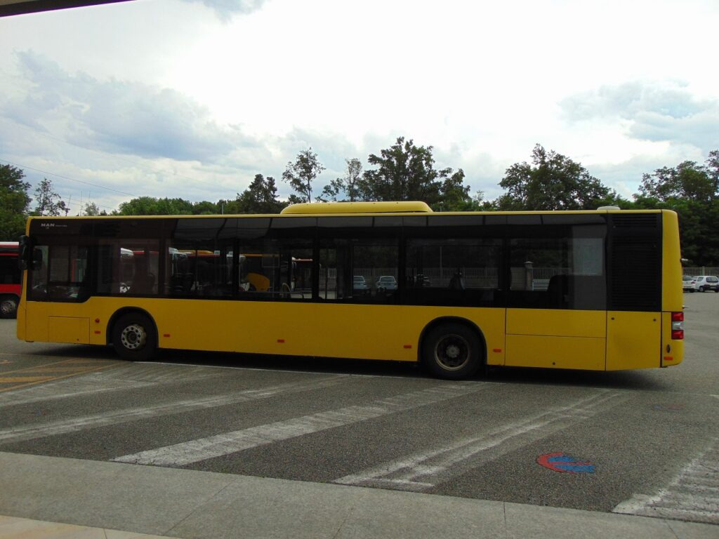 N.1 MAN LION’S CITY A37 LF – Anno 2012 - Pilsētas autobuss: foto 4 N.1 MAN LION’S CITY A37 LF – Anno 2012 - Pilsētas autobuss: foto 4
