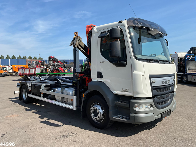 DAF FA LF 250 Euro 6 Palfinger 6,5 Tonmeter laadkraan - Pacēlājs ar āķi, Kravas auto ar manipulatoru: foto 3 DAF FA LF 250 Euro 6 Palfinger 6,5 Tonmeter laadkraan - Pacēlājs ar āķi, Kravas auto ar manipulatoru: foto 3