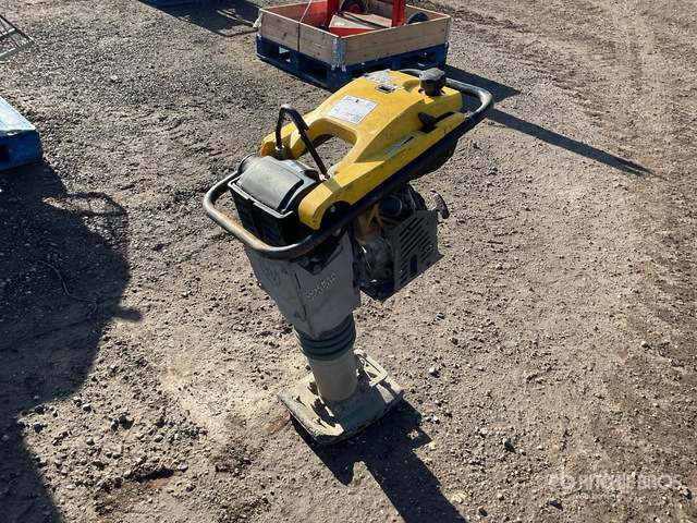 2019 Wacker Neuson Rammer BS50-4AS Vibratory Plate Compactor Jumping Jack Tamper - Vibrokāja: foto 1 2019 Wacker Neuson Rammer BS50-4AS Vibratory Plate Compactor Jumping Jack Tamper - Vibrokāja: foto 1