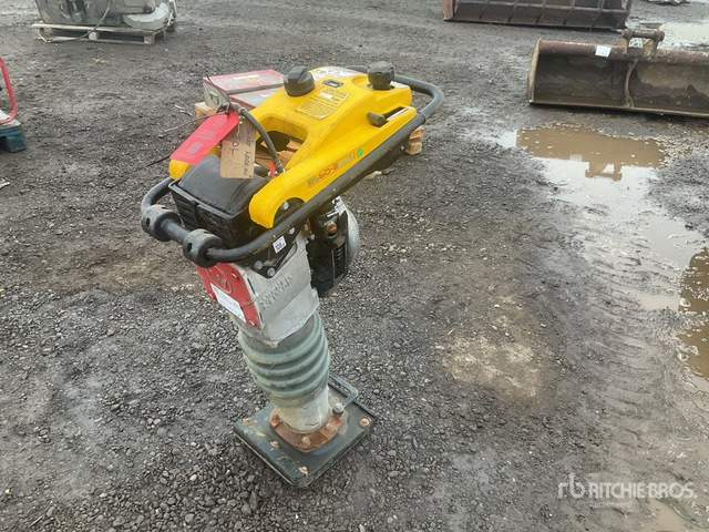 2020 Wacker Neuson BS50-2plus Demolition Breaker Jumping Jack Tamper - Vibrokāja: foto 1 2020 Wacker Neuson BS50-2plus Demolition Breaker Jumping Jack Tamper - Vibrokāja: foto 1