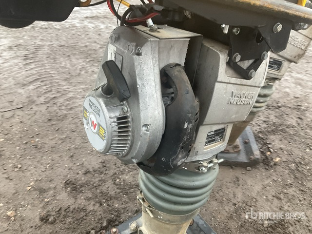 2020 Wacker Neuson BS50-2plus Jumping Jack Tamper Jumping Jack Tamper - Vibrokāja: foto 5 2020 Wacker Neuson BS50-2plus Jumping Jack Tamper Jumping Jack Tamper - Vibrokāja: foto 5