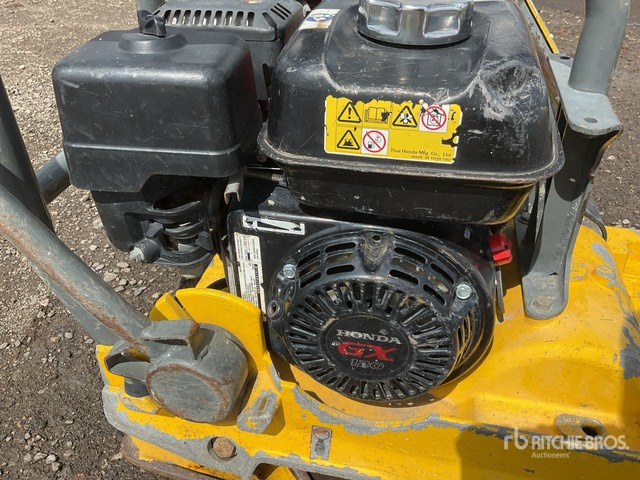 Wacker Neuson WP1540 Vibratory Plate Compactor - Vibrobliete: foto 5 Wacker Neuson WP1540 Vibratory Plate Compactor - Vibrobliete: foto 5