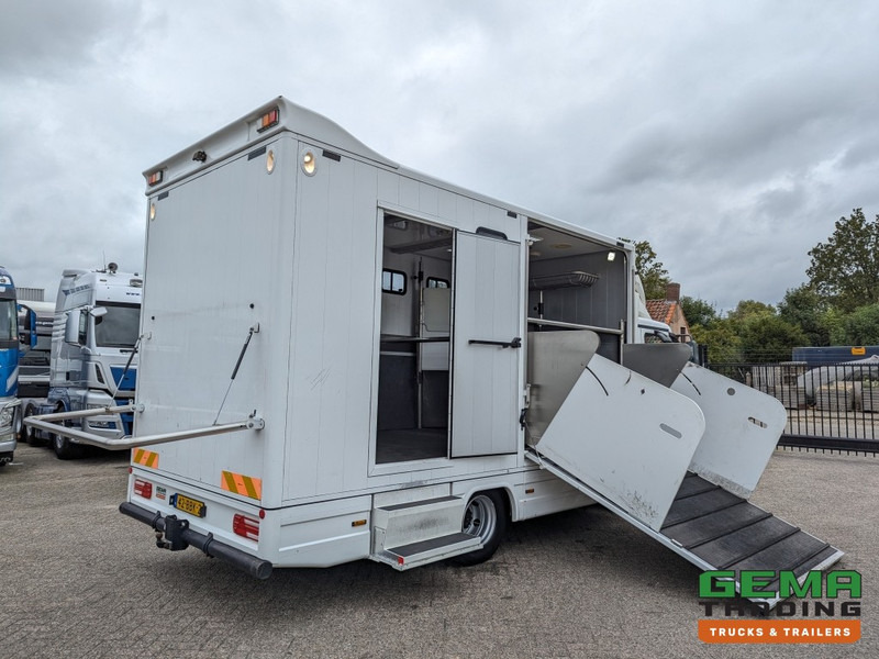 MAN TGL 12.250 4x2 Euro5 EEV RC HorseTruck - 2a3 Paards - 135.000km - MARGE (V821) - Zirgu kravas automašīna: foto 1 MAN TGL 12.250 4x2 Euro5 EEV RC HorseTruck - 2a3 Paards - 135.000km - MARGE (V821) - Zirgu kravas automašīna: foto 1