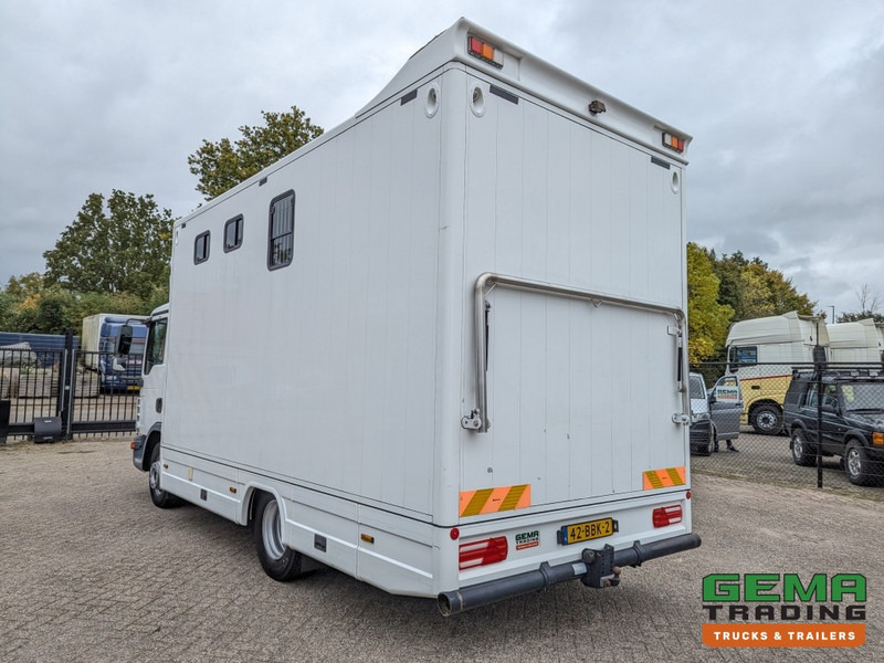 MAN TGL 12.250 4x2 Euro5 EEV RC HorseTruck - 2a3 Paards - 135.000km - MARGE (V821) - Zirgu kravas automašīna: foto 4 MAN TGL 12.250 4x2 Euro5 EEV RC HorseTruck - 2a3 Paards - 135.000km - MARGE (V821) - Zirgu kravas automašīna: foto 4