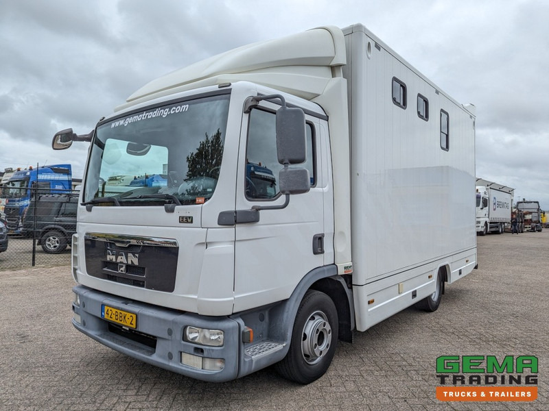 MAN TGL 12.250 4x2 Euro5 EEV RC HorseTruck - 2a3 Paards - 135.000km - MARGE (V821) - Zirgu kravas automašīna: foto 2 MAN TGL 12.250 4x2 Euro5 EEV RC HorseTruck - 2a3 Paards - 135.000km - MARGE (V821) - Zirgu kravas automašīna: foto 2