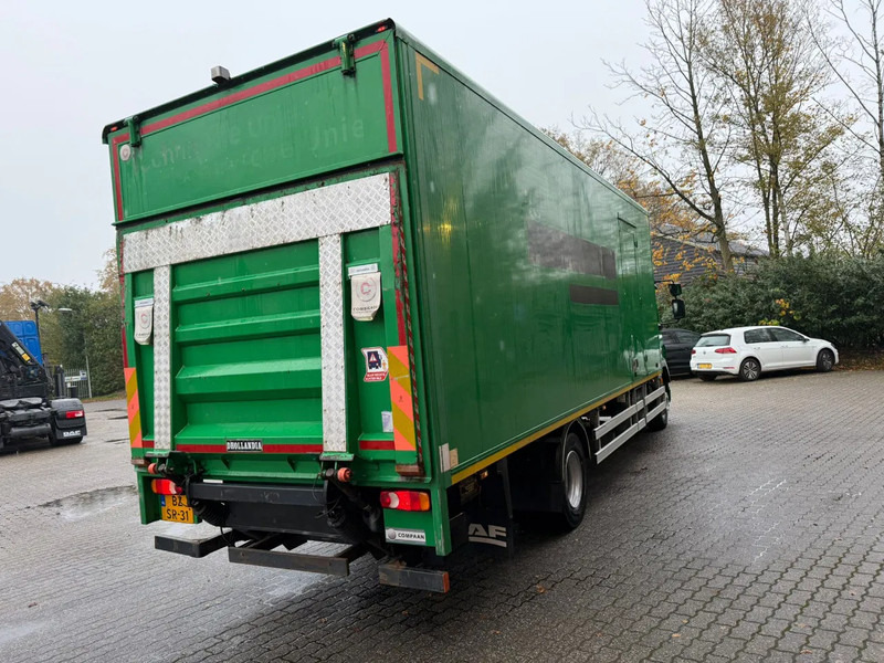 DAF LF 55.180 7.3M Koffer 1500KG LBW Zijdeur NL Truck - Kravas automašīna ar slēgto virsbūvi: foto 4 DAF LF 55.180 7.3M Koffer 1500KG LBW Zijdeur NL Truck - Kravas automašīna ar slēgto virsbūvi: foto 4