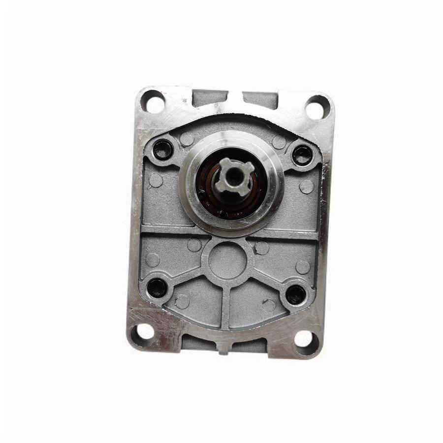 FLAND FL45 Wheel Loader Hydraulic Gear Pump CBT-F316 for Spare Parts - Hidrauliskais sūknis - Riteņu iekrāvējs: foto 3 FLAND FL45 Wheel Loader Hydraulic Gear Pump CBT-F316 for Spare Parts - Hidrauliskais sūknis - Riteņu iekrāvējs: foto 3