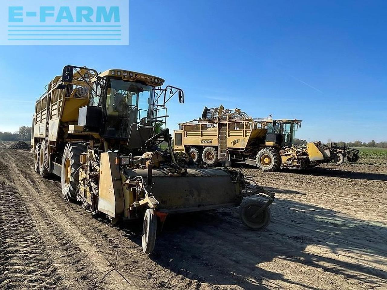 Biešu kombains Ropa euro tiger: foto 40