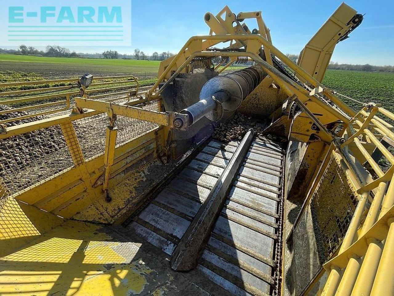 Biešu kombains Ropa euro tiger: foto 25