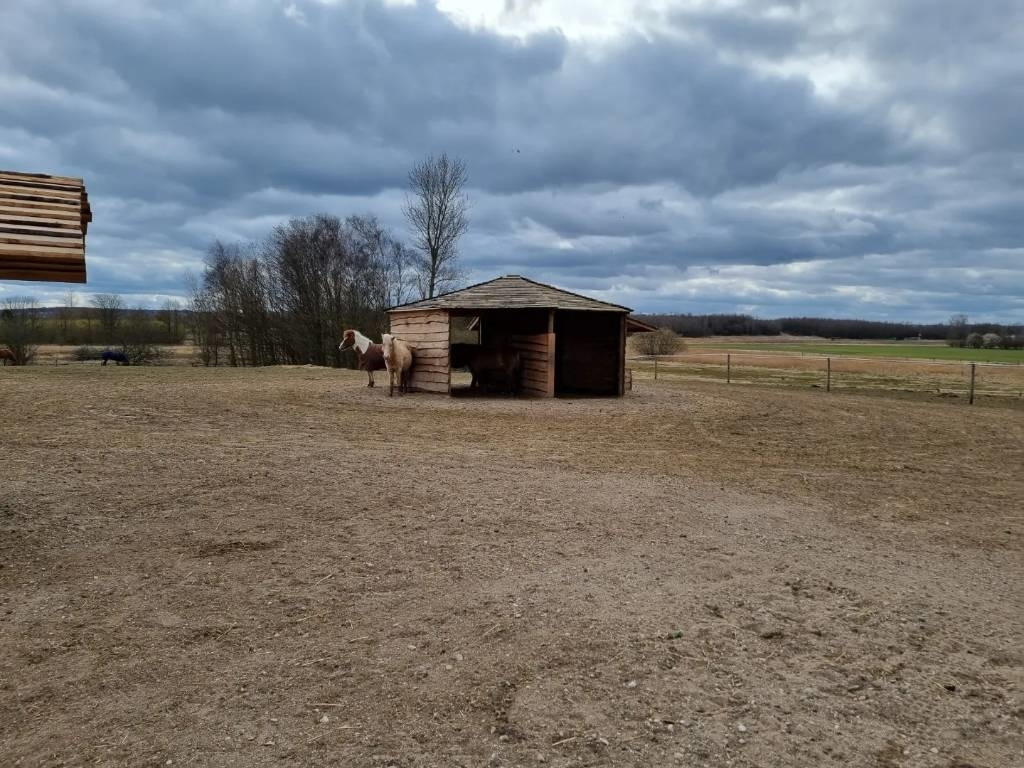 Pomi Hestepæreopsamler - Komunālā/ Specializētā tehnika: foto 5 Pomi Hestepæreopsamler - Komunālā/ Specializētā tehnika: foto 5
